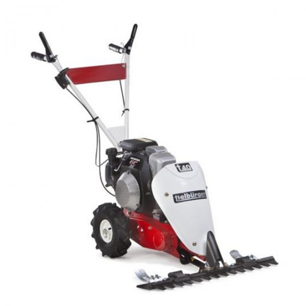 Tielbürger t40 Balkenmäher – B&S 550 OHV